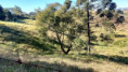/album/fotos-ref-119/img-20250729-wa0062-jpg/