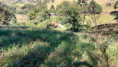 /album/fotos-ref-119/img-20250729-wa0075-jpg/