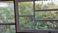 /album/fotos-ref-122/img-20250729-wa0012-jpg1/