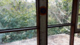 /album/fotos-ref-122/img-20250729-wa0013-jpg1/