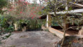 /album/fotos-ref-122/img-20250729-wa0026-jpg1/