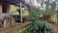 /album/fotos-ref-122/img-20250729-wa0032-jpg1/