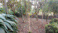 /album/fotos-ref-122/img-20250729-wa0036-jpg1/