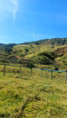 /album/fotos-ref-0022/img-20250731-wa0135-jpg/