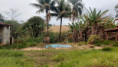 /album/confira1/img-20250830-wa0017-jpg/
