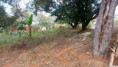 /album/confira1/img-20250909-wa0087-jpg/