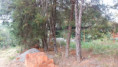 /album/confira1/img-20250909-wa0088-jpg/