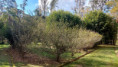 /album/fotos-ref-125/img-20250909-wa0154-jpg/