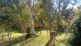 /album/fotos-ref-125/img-20250909-wa0157-jpg/