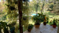 /album/fotos-ref-125/img-20250909-wa0164-jpg/